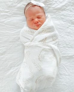 Best Pirce ⌛ Anchor & Arrow Twin Bamboo Swaddle Set Gold Fern & Sandy Shell 😍 -Baby Online store http3A2F2Fstatic.theiconic.com .au2Fp2Fanchor arrow 6421 5586841 3