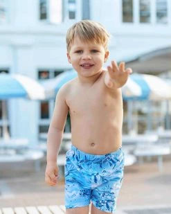 Brand new 😉 Aqua Blu Kids Atlas Lycra Boardshorts - Babies 👏