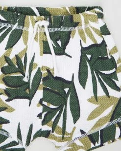 Wholesale 🔥 Bonds Baby Waffle Shorts - Babies Waffle On Fern 👍 -Baby Online store http3A2F2Fstatic.theiconic.com .au2Fp2Fbonds baby 6496 7004431 3