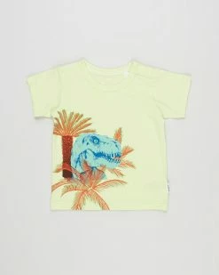 Cheap 😀 Bonds Baby Short Sleeve Aussie Cotton Crew Tee - Babies Dino Mite T-Rex Yellow 🤩