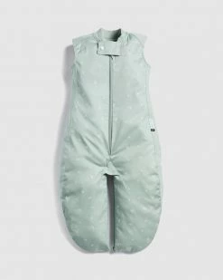 Cheapest 🤩 ErgoPouch Sleep Suit Bag 0.3 TOG - Babies Sage 😀