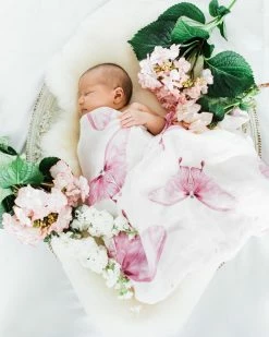 Buy 🤩 Evie & Grey Butterfly Kisses Pink Multi 🌟 -Baby Online store http3A2F2Fstatic.theiconic.com .au2Fp2Fevie and grey 9254 7268641 4