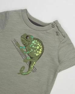 Cheap 👏 Fox & Finch Jungle Chameleon Tee - Babies Khaki 👏 -Baby Online store http3A2F2Fstatic.theiconic.com .au2Fp2Ffox and finch 3359 3158931 3