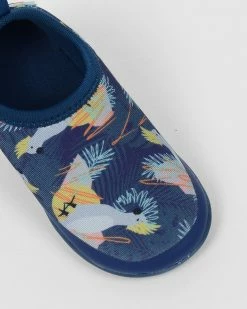 Cheapest 😉 Minnow Flex Swimmable Water 👟 Shoe Bilirr ❤️ -Baby Online store http3A2F2Fstatic.theiconic.com .au2Fp2Fminnow 4305 1840541 4