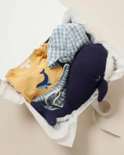 Coupon 💯 Purebaby Gingham Set - Babies Dusty Blue Gingham 🌟 -Baby Online store http3A2F2Fstatic.theiconic.com .au2Fp2Fpurebaby 5306 2104731 5