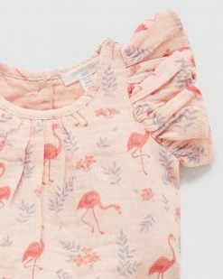 Outlet 😀 Purebaby Flutter Bodysuit - Babies Flamingo Print 🎁 -Baby Online store http3A2F2Fstatic.theiconic.com .au2Fp2Fpurebaby 5380 6004731 3