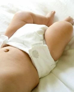 Cheapest 💯 Purebaby Reusable Nappy Starter Kit with 2 Pads - Babies Pale Grey Tree 😉 -Baby Online store http3A2F2Fstatic.theiconic.com .au2Fp2Fpurebaby 7260 5510121 4