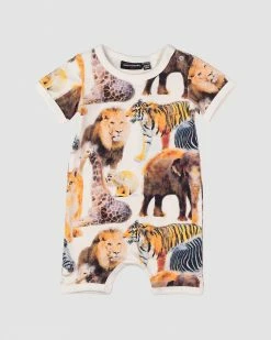 Flash Sale 😍 Rock Your Baby Safari Playsuit - Babies Multi ✨