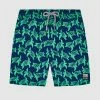 Best reviews of 😉 Tom & Teddy Turtle Boardshorts Navy & Green 🧨