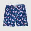 Flash Sale 🌟 Tom & Teddy Flamingo Boardshorts Rose & Blue ✔️