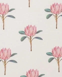 Best reviews of 🔥 Wilson & Frenchy Organic Bassinet Sheet - Babies Pretty Protea ✔️ -Baby Online store http3A2F2Fstatic.theiconic.com .au2Fp2Fwilson and frenchy 0215 5024141 4