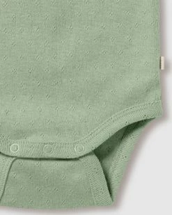 Promo 🎁 Wilson & Frenchy Organic Pointelle Singlet Bodysuit - Babies Fern 😍 -Baby Online store http3A2F2Fstatic.theiconic.com .au2Fp2Fwilson and frenchy 3662 2921541 4