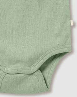 Wholesale ⌛ Wilson & Frenchy Organic Pointelle Kimono Bodysuit - Babies Fern 😉 -Baby Online store http3A2F2Fstatic.theiconic.com .au2Fp2Fwilson and frenchy 3667 0621541 4