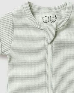 Best Sale 👏 Wilson & Frenchy Organic Stripe Rib Zipsuit - Babies Fern 👏 -Baby Online store http3A2F2Fstatic.theiconic.com .au2Fp2Fwilson and frenchy 3669 4921541 3