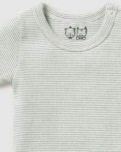 Hot Sale 🔔 Wilson & Frenchy Organic Stripe Rib Bodysuit - Babies Fern 👍 -Baby Online store http3A2F2Fstatic.theiconic.com .au2Fp2Fwilson and frenchy 3708 6821541 3