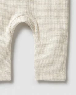 Wholesale 💯 Wilson & Frenchy Organic Stripe Rib Leggings - Babies Oatmeal 🧨 -Baby Online store http3A2F2Fstatic.theiconic.com .au2Fp2Fwilson and frenchy 3756 3721541 4
