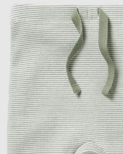 Promo 💯 Wilson & Frenchy Organic Stripe Rib Leggings - Babies Fern 🛒 -Baby Online store http3A2F2Fstatic.theiconic.com .au2Fp2Fwilson and frenchy 3789 7721541 3