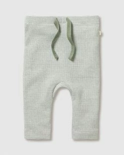 Promo 💯 Wilson & Frenchy Organic Stripe Rib Leggings - Babies Fern 🛒