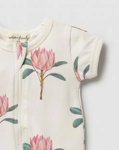 Wholesale ⌛ Wilson & Frenchy Organic Boyleg Zipsuit - Babies Pretty Protea 😀 -Baby Online store http3A2F2Fstatic.theiconic.com .au2Fp2Fwilson and frenchy 4763 3583431 3