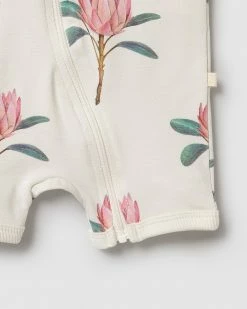 Wholesale ⌛ Wilson & Frenchy Organic Boyleg Zipsuit - Babies Pretty Protea 😀 -Baby Online store http3A2F2Fstatic.theiconic.com .au2Fp2Fwilson and frenchy 4770 3583431 4