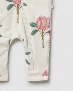 Coupon ✨ Wilson & Frenchy Organic Zipsuit - Babies Pretty Protea 🔔 -Baby Online store http3A2F2Fstatic.theiconic.com .au2Fp2Fwilson and frenchy 4851 3683431 4