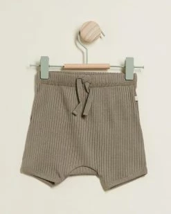 Hot Sale 🎁 Wilson & Frenchy Organic Rib Shorts - Babies Hazelwood 🧨